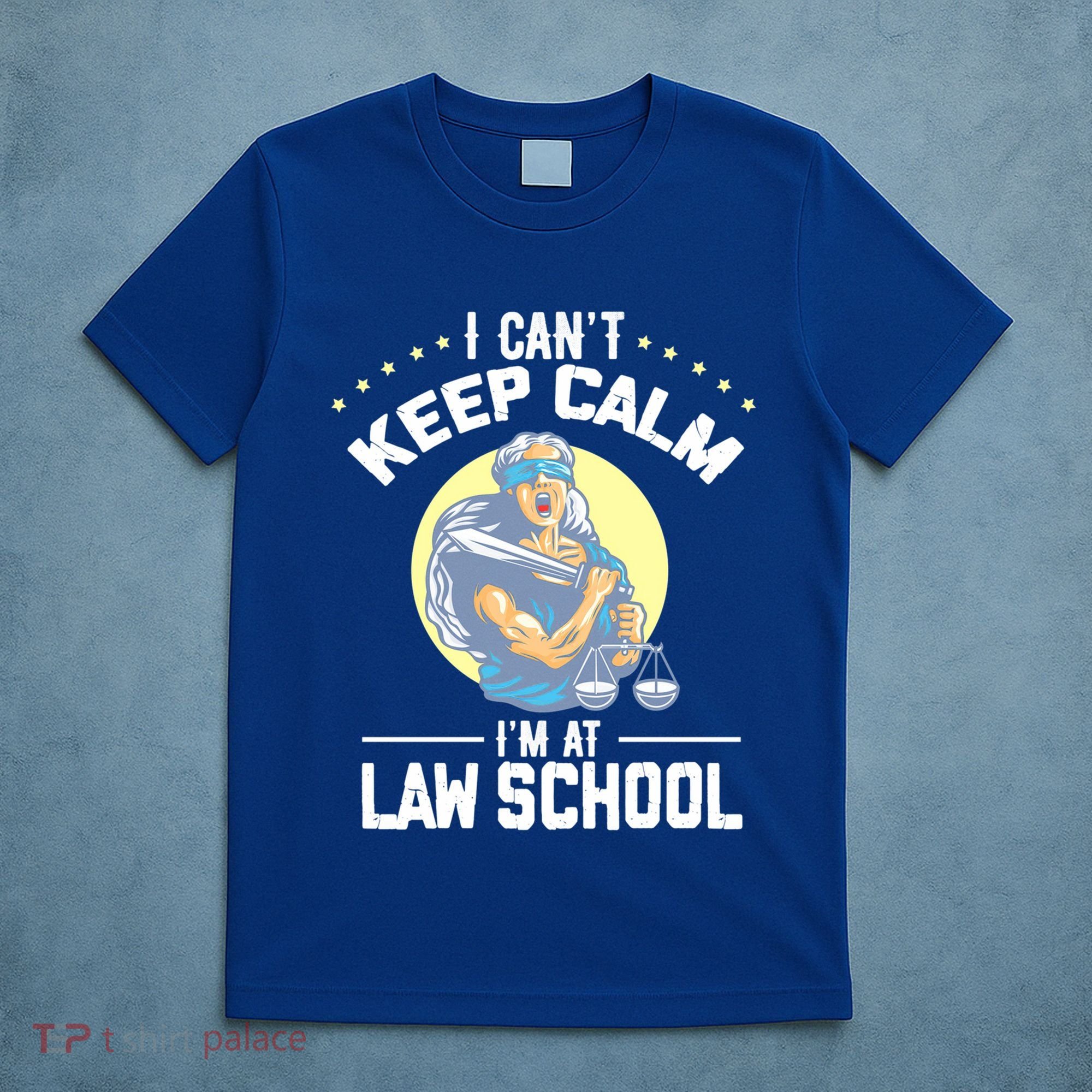 Cant Keep Calm At Law School Future Lawyer Scale Graduation Cute Gift T-Shirt
