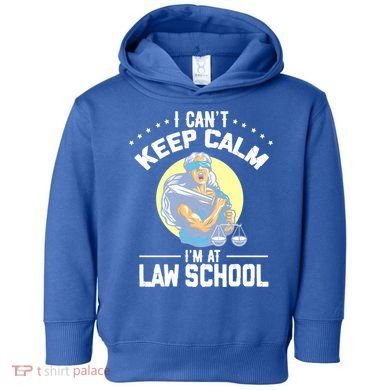 Cant Keep Calm At Law School Future Lawyer Scale Graduation Cute Gift Toddler Hoodie