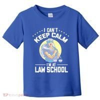 Cant Keep Calm At Law School Future Lawyer Scale Graduation Cute Gift Toddler T-Shirt thumb 0