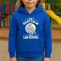 Cant Keep Calm At Law School Future Lawyer Scale Graduation Cute Gift Kids Hoodie thumb 3