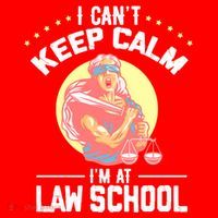 Cant Keep Calm At Law School Future Lawyer Scale Graduation Cute Gift Santa Hat thumb 1