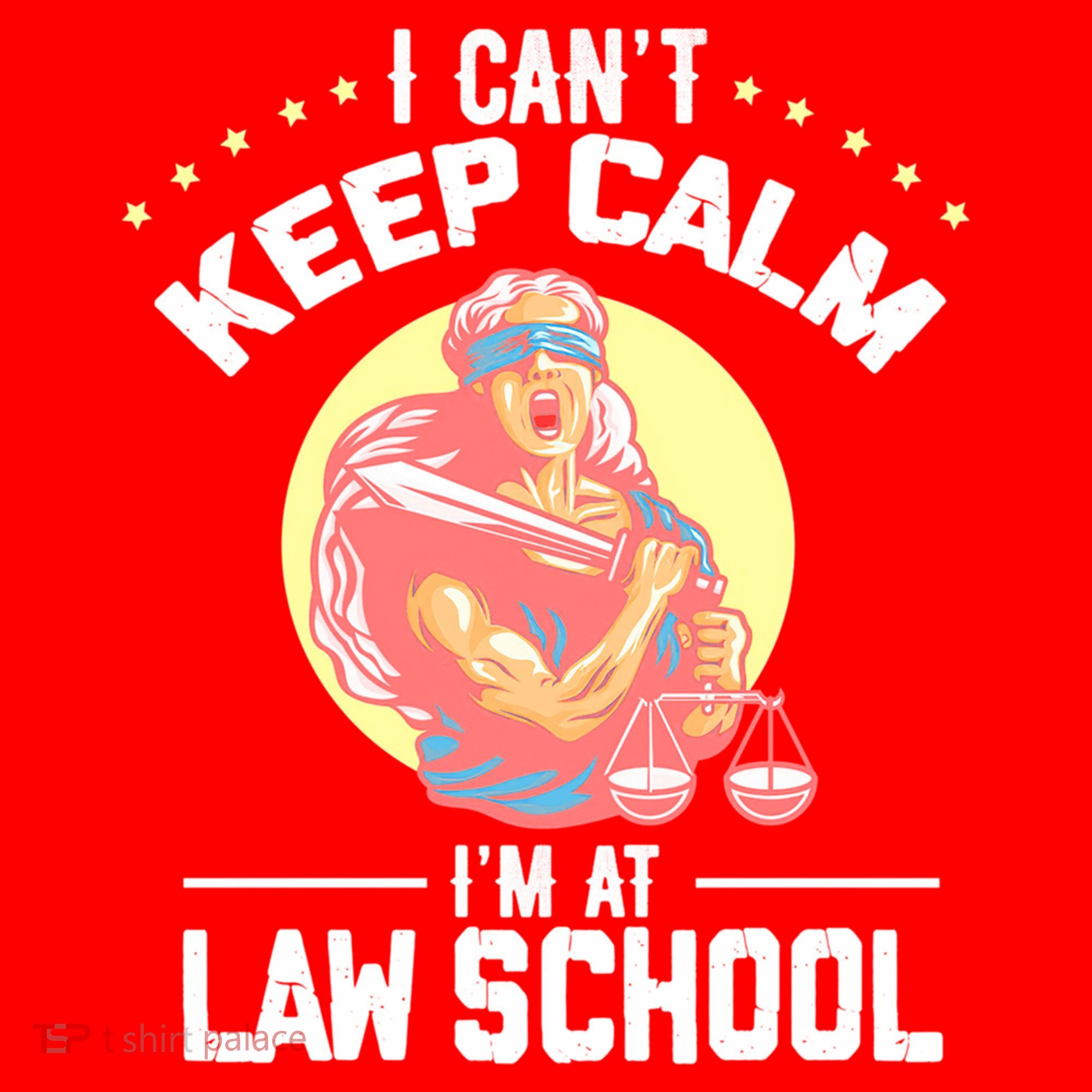Cant Keep Calm At Law School Future Lawyer Scale Graduation Cute Gift Santa Hat
