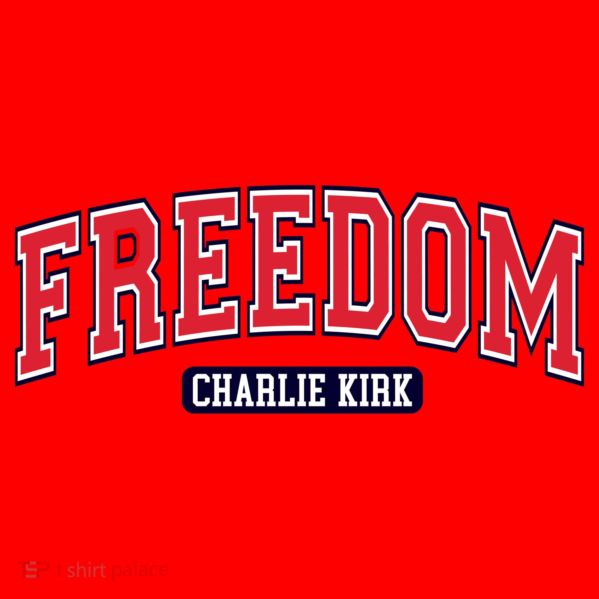 Charlie Kirk Freedom Team Sports Logo Santa Hat