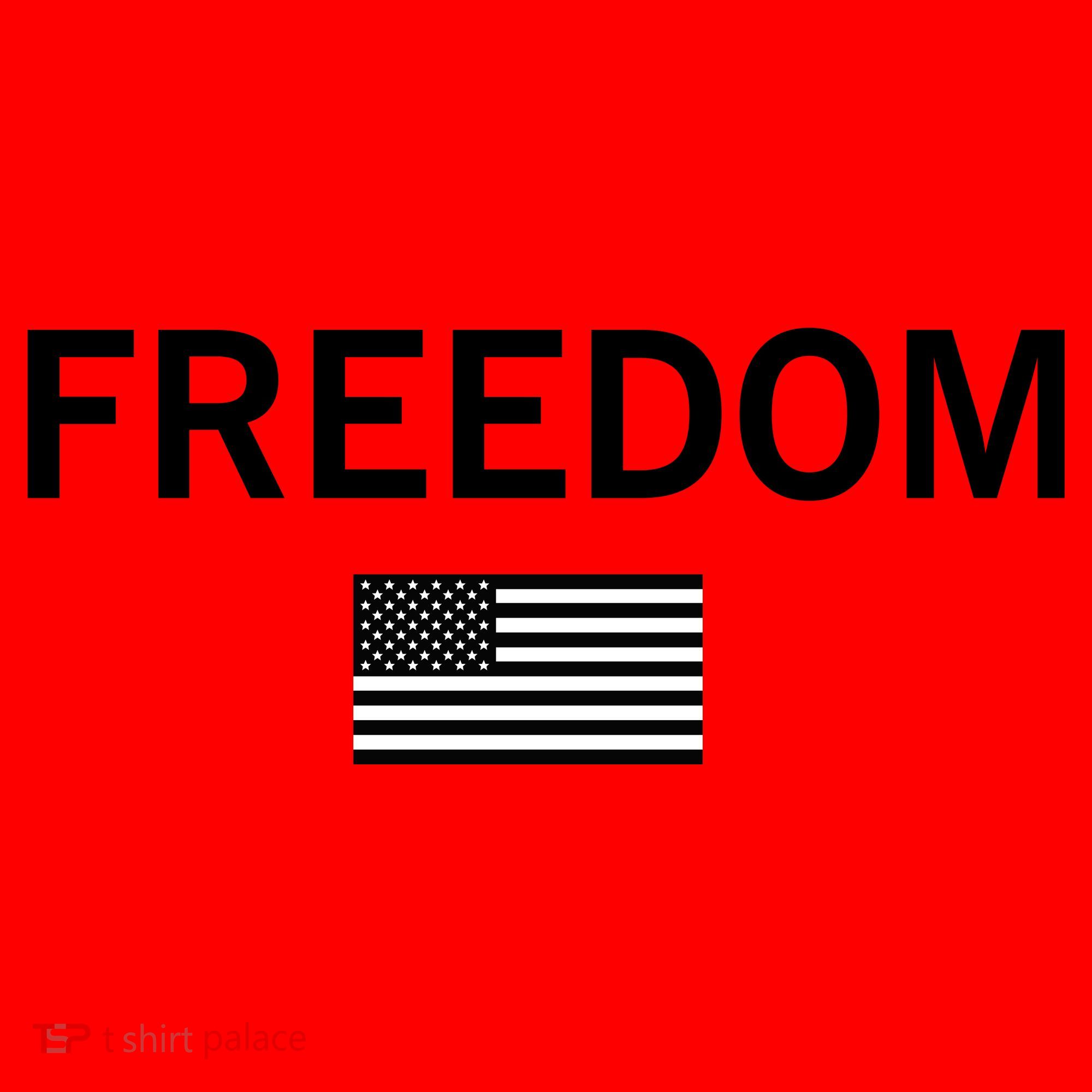 Charlie Kirk Freedom Santa Hat
