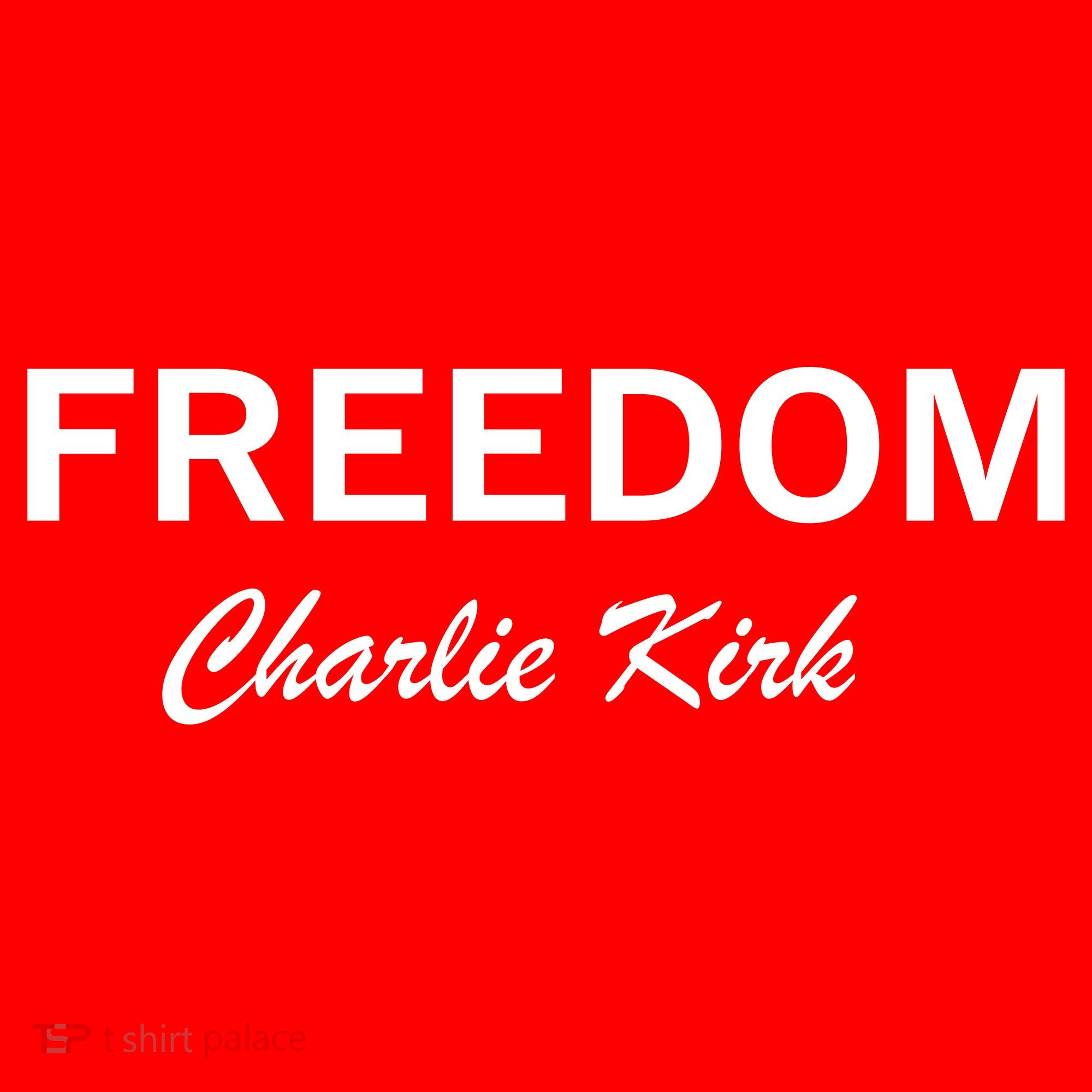 Charlie Kirk Freedom Memorial Support T-Shirt