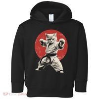 Cat Karate Judo Japan Japanese Flag Funny Toddler Hoodie thumb 0
