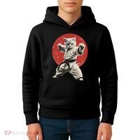 Cat Karate Judo Japan Japanese Flag Funny Kids Hoodie thumb 4