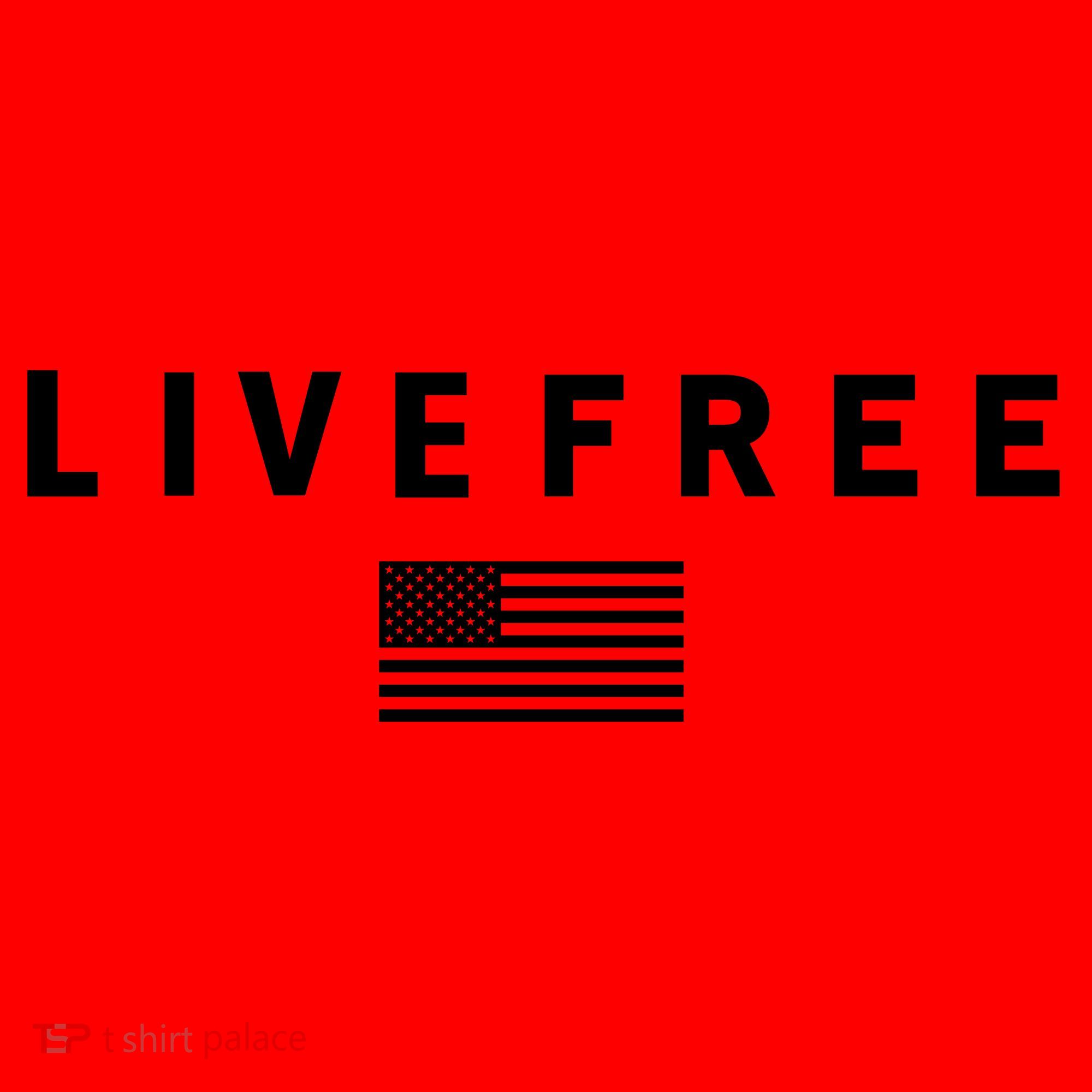 Charlie Kirk Live Free American Values Santa Hat