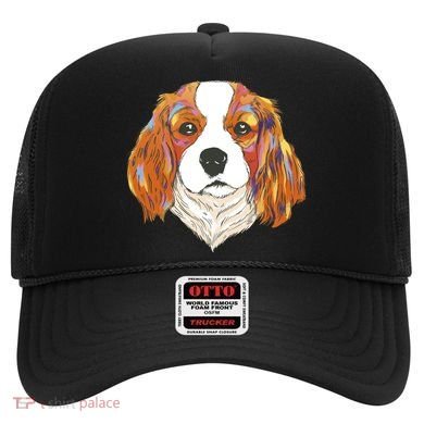 Cavalier King Spaniel Colorful Dog Hat