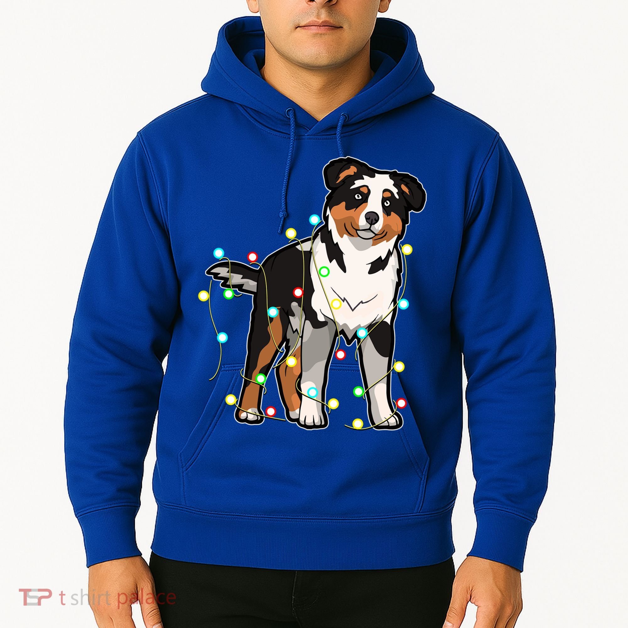 Christmas Lights Australian Shepherd Dog Lover Xmas Gift Cute Gift Hoodie