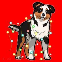 Christmas Lights Australian Shepherd Dog Lover Xmas Gift Cute Gift Santa Hat thumb 1