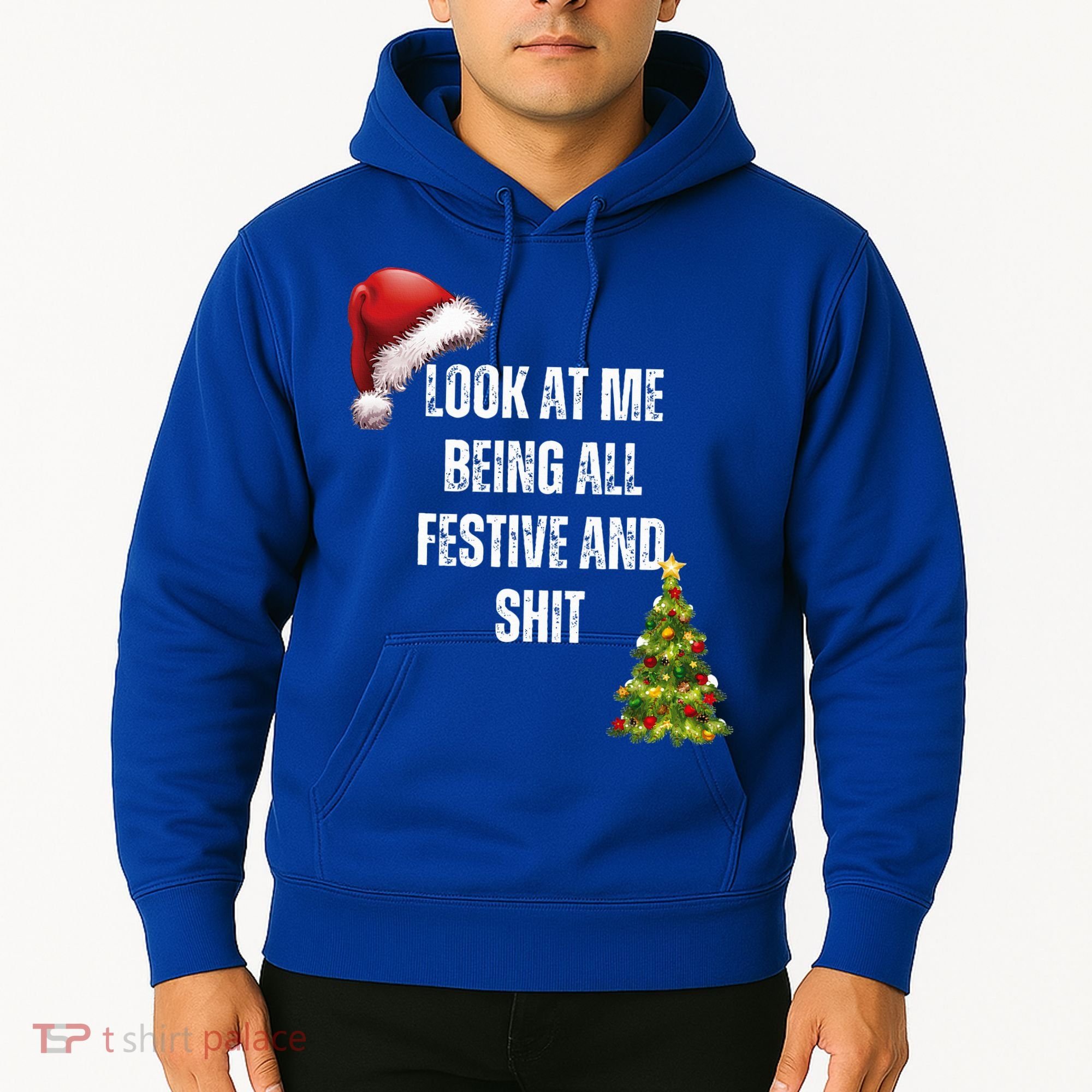 Christmas Look At Me Being All Festive And Shit Hoodie