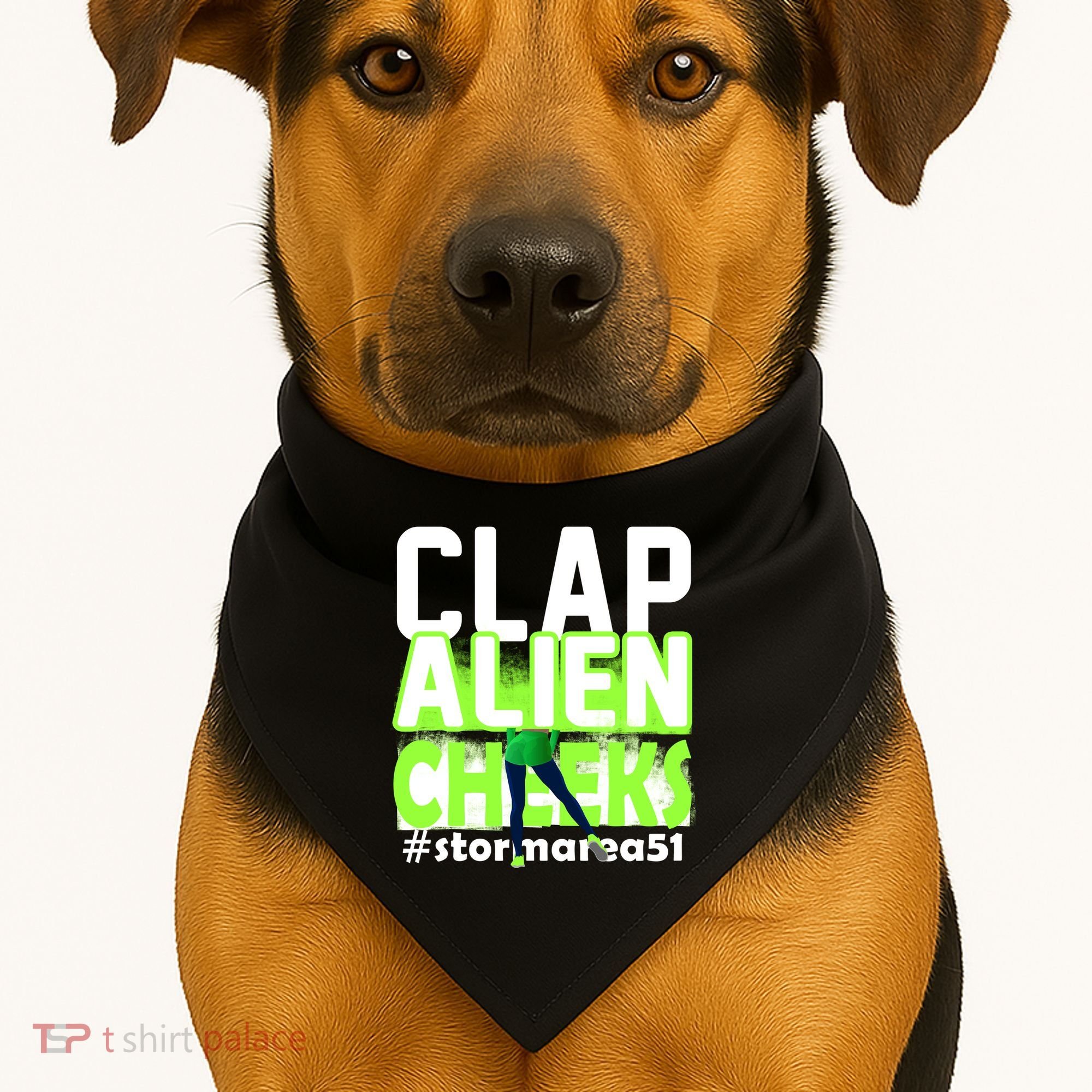 Clap Alien Cheeks Storm Area 51 USA-Made Doggie Bandana