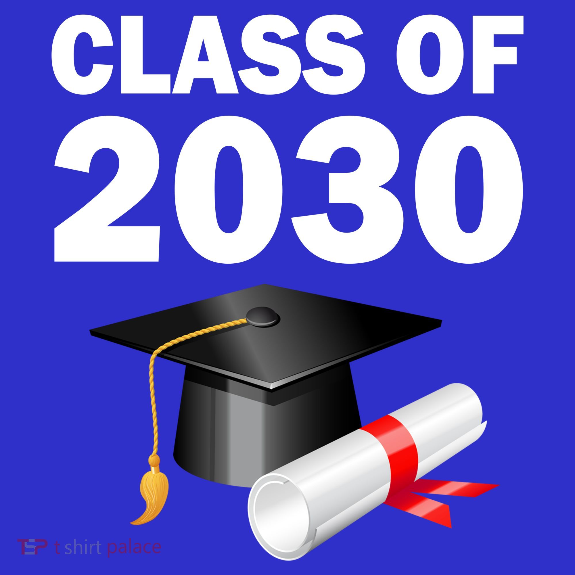 Class of 2030 Hoodie