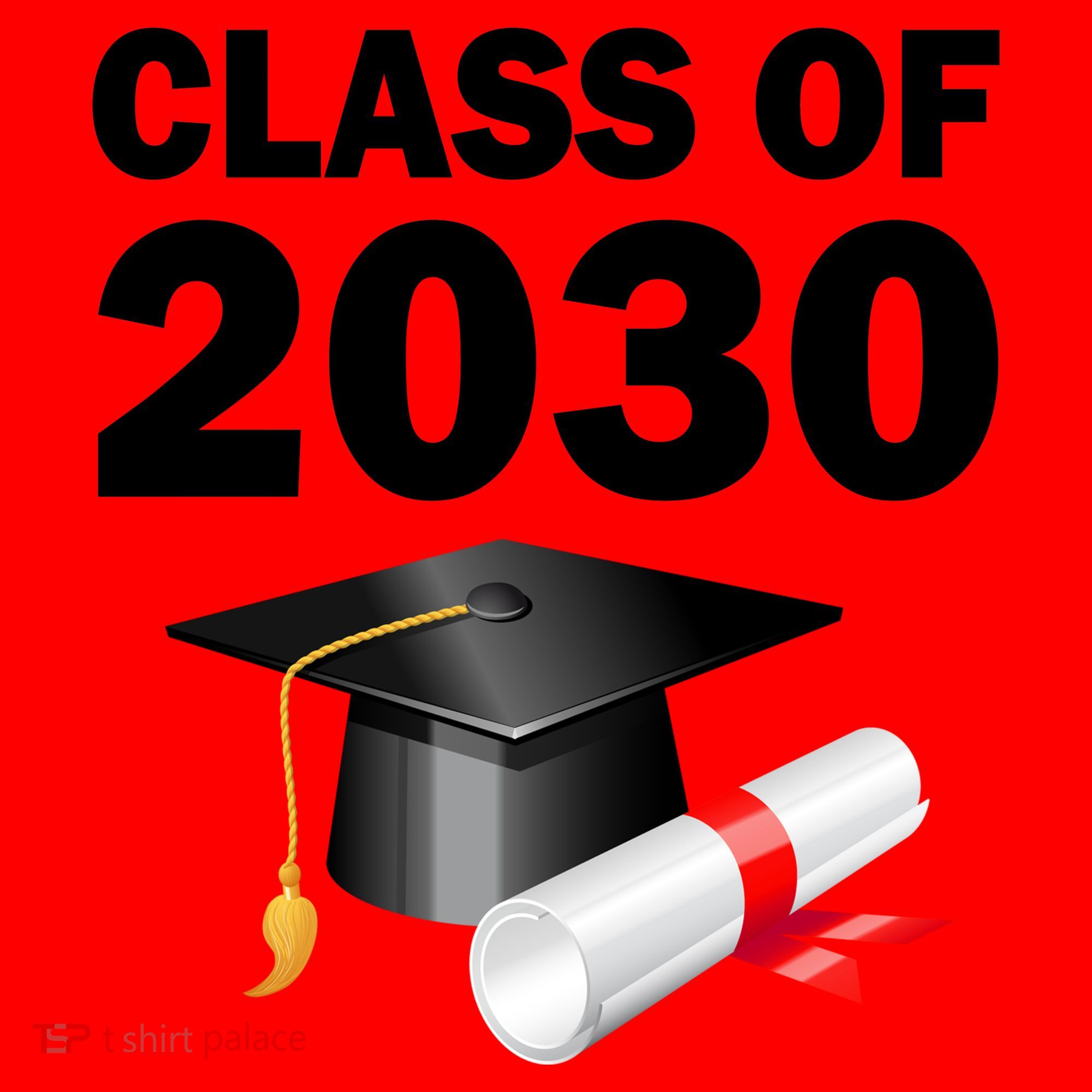 Class of 2030 Santa Hat