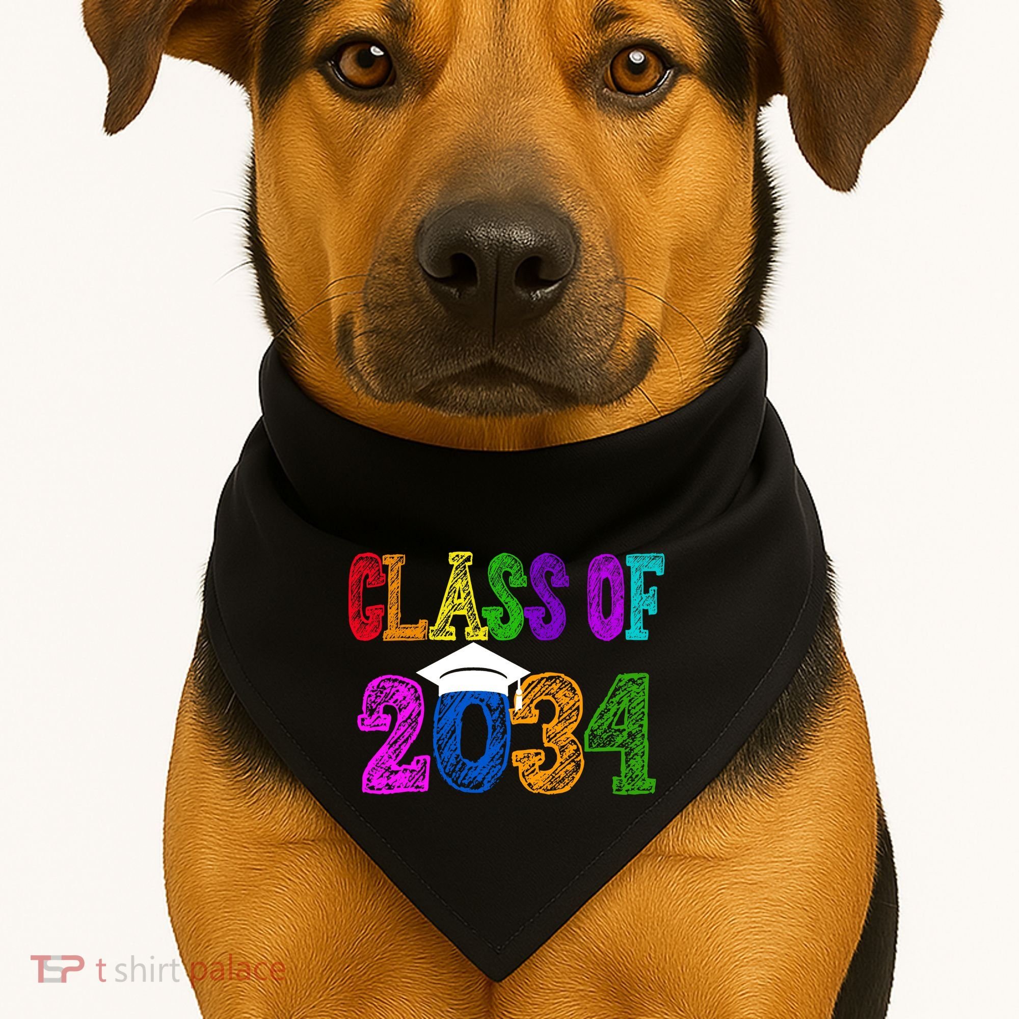 Class Of 2034 Graduation First Day Of School USA-Made Doggie Bandana