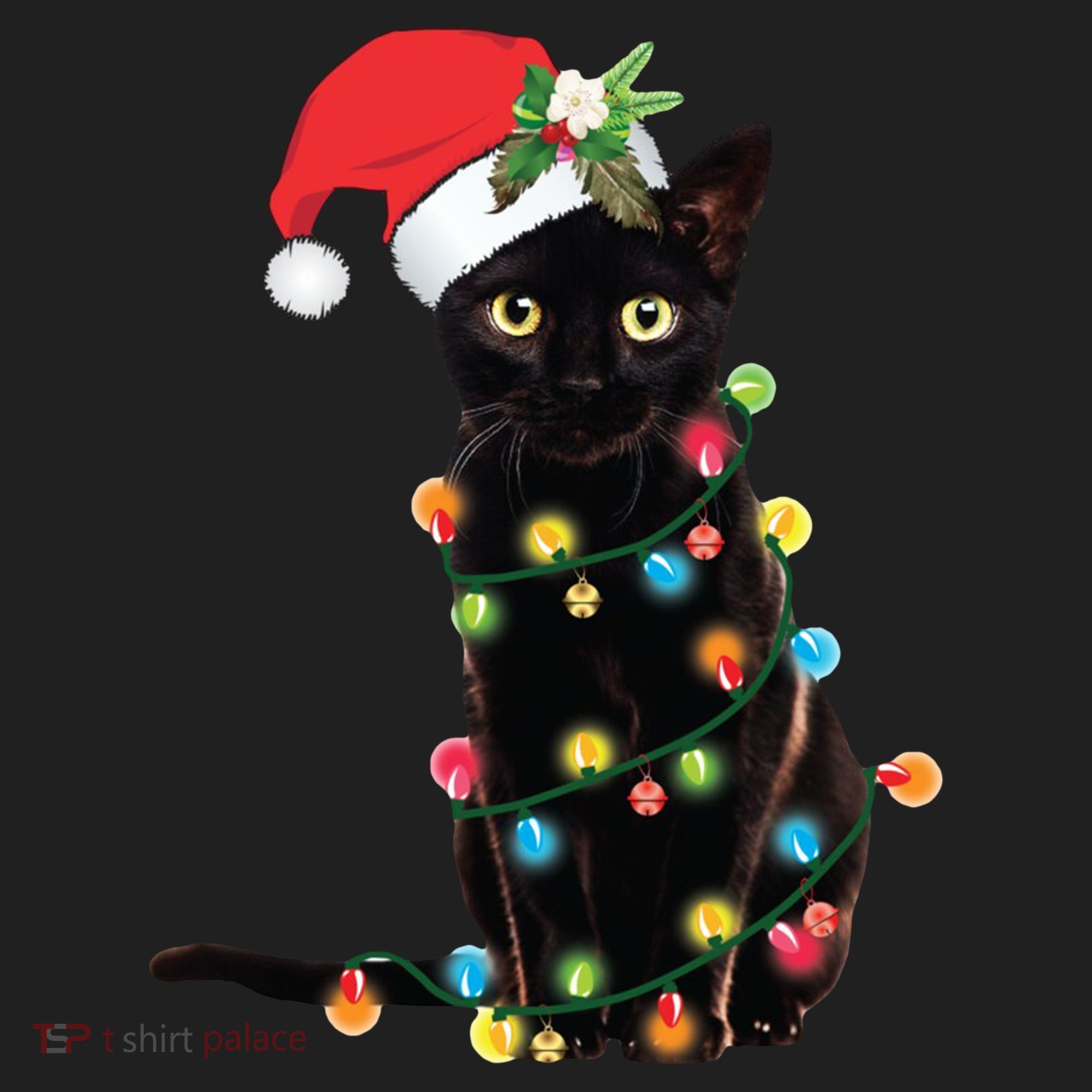 Christmas Lights Black Cat Santa Women's Sweatshirt