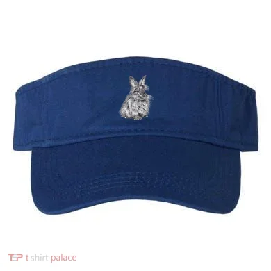 Visor