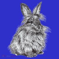 Cute Lionhead Bunny Rabbit Sketch Gift Visor thumb 3