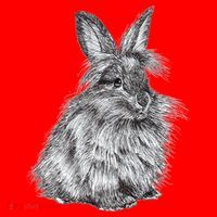 Cute Lionhead Bunny Rabbit Sketch Gift Santa Hat thumb 1