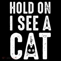 Cat Lover Cat Mom Funny Hold On I See A Cat Coffee Mug thumb 5
