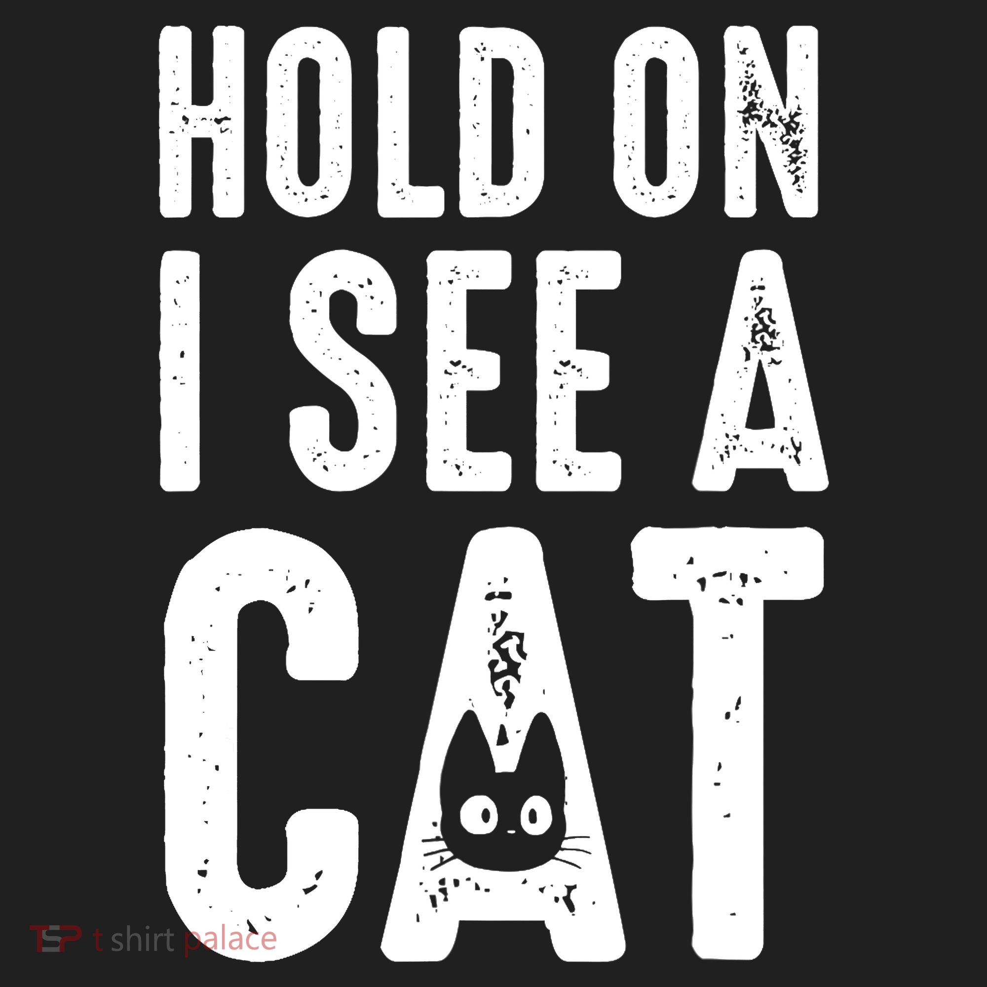 Cat Lover Cat Mom Funny Hold On I See A Cat Tumbler