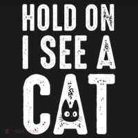 Cat Lover Cat Mom Funny Hold On I See A Cat Ornament thumb 1