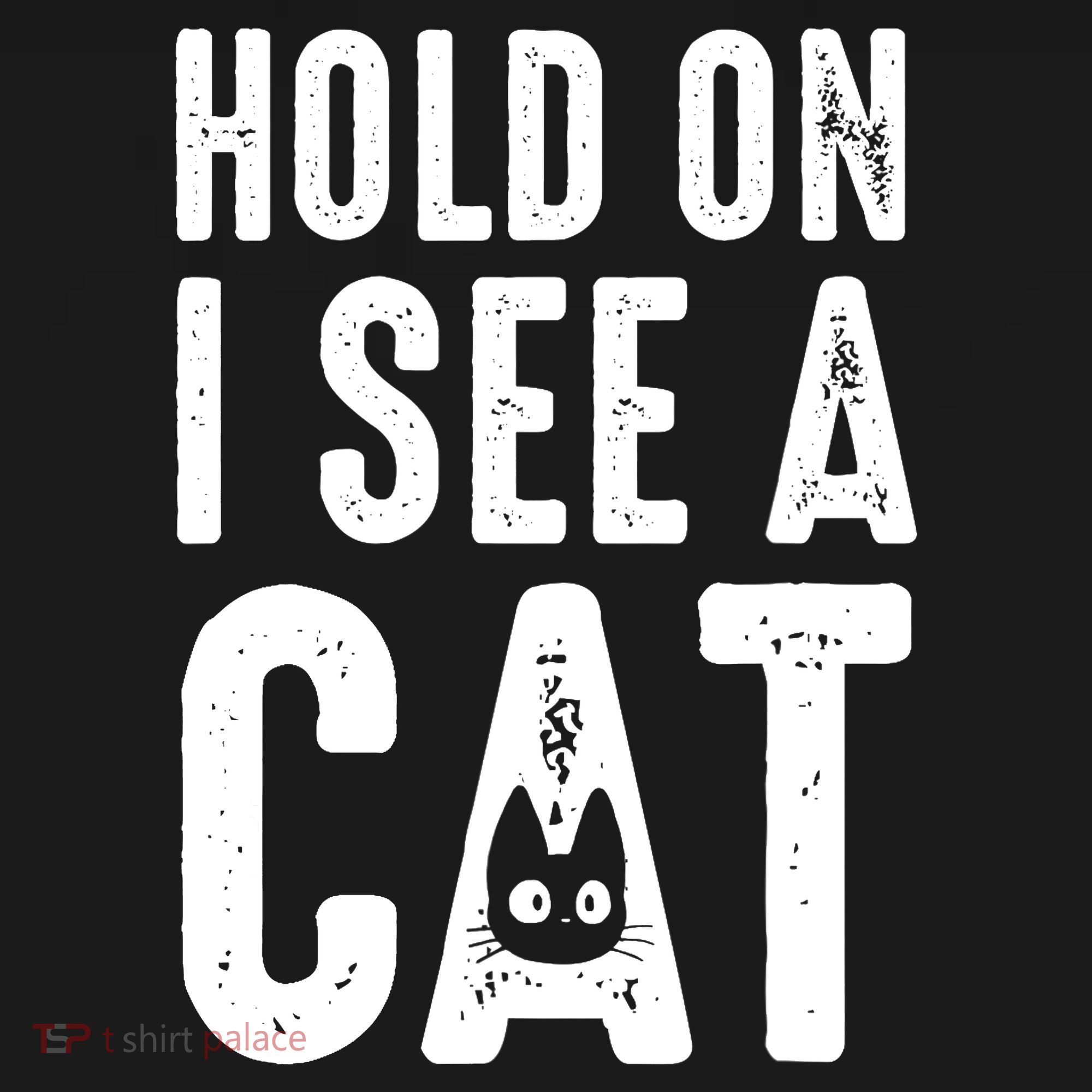 Cat Lover Cat Mom Funny Hold On I See A Cat Ornament