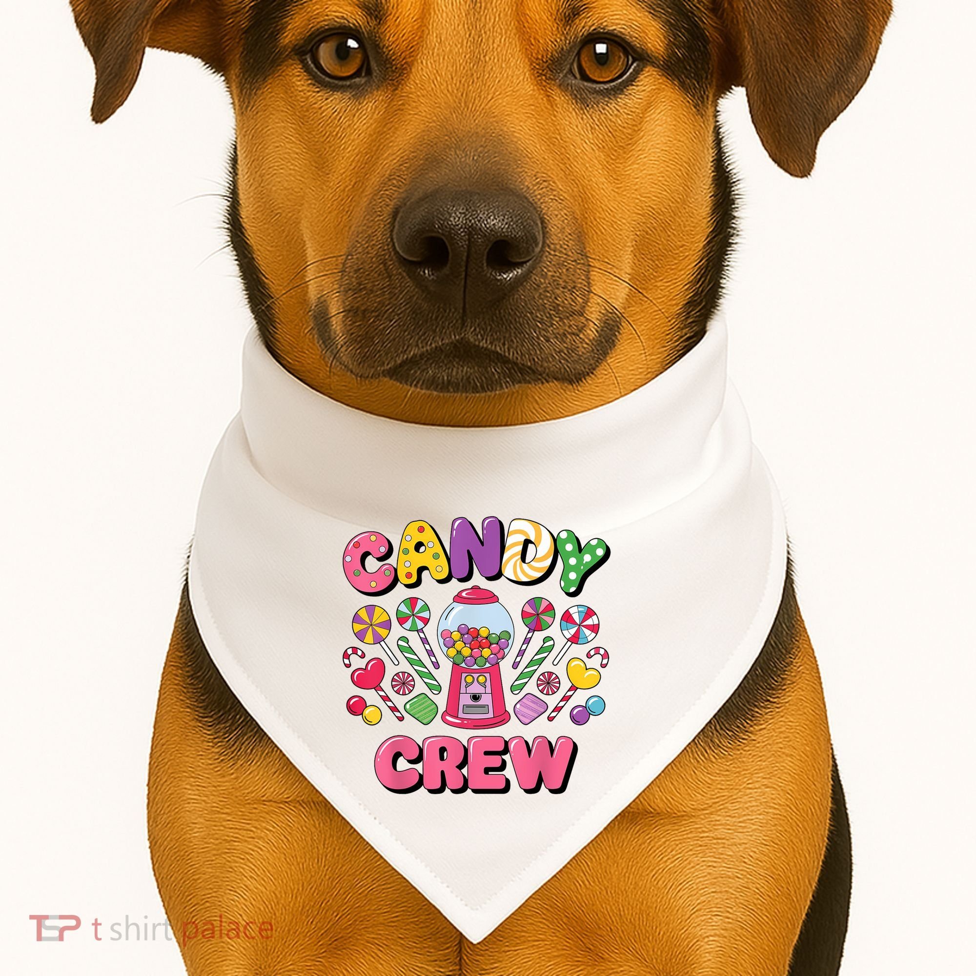 Candy Land Candy Crew Decorations Sweetie Candy Squad Cool USA-Made Doggie Bandana
