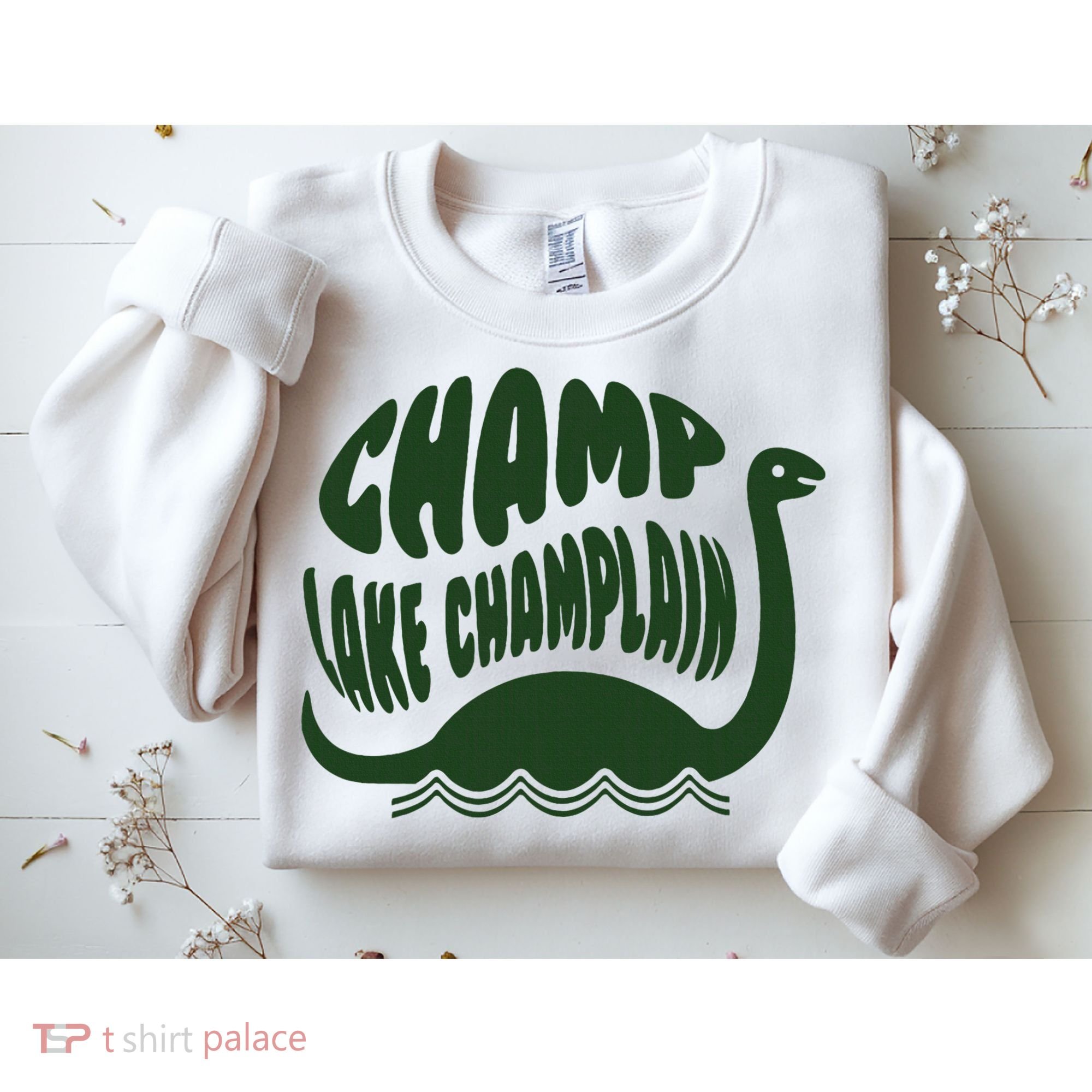 Champ Lake Champlain Monster American Folklore Sweatshirt