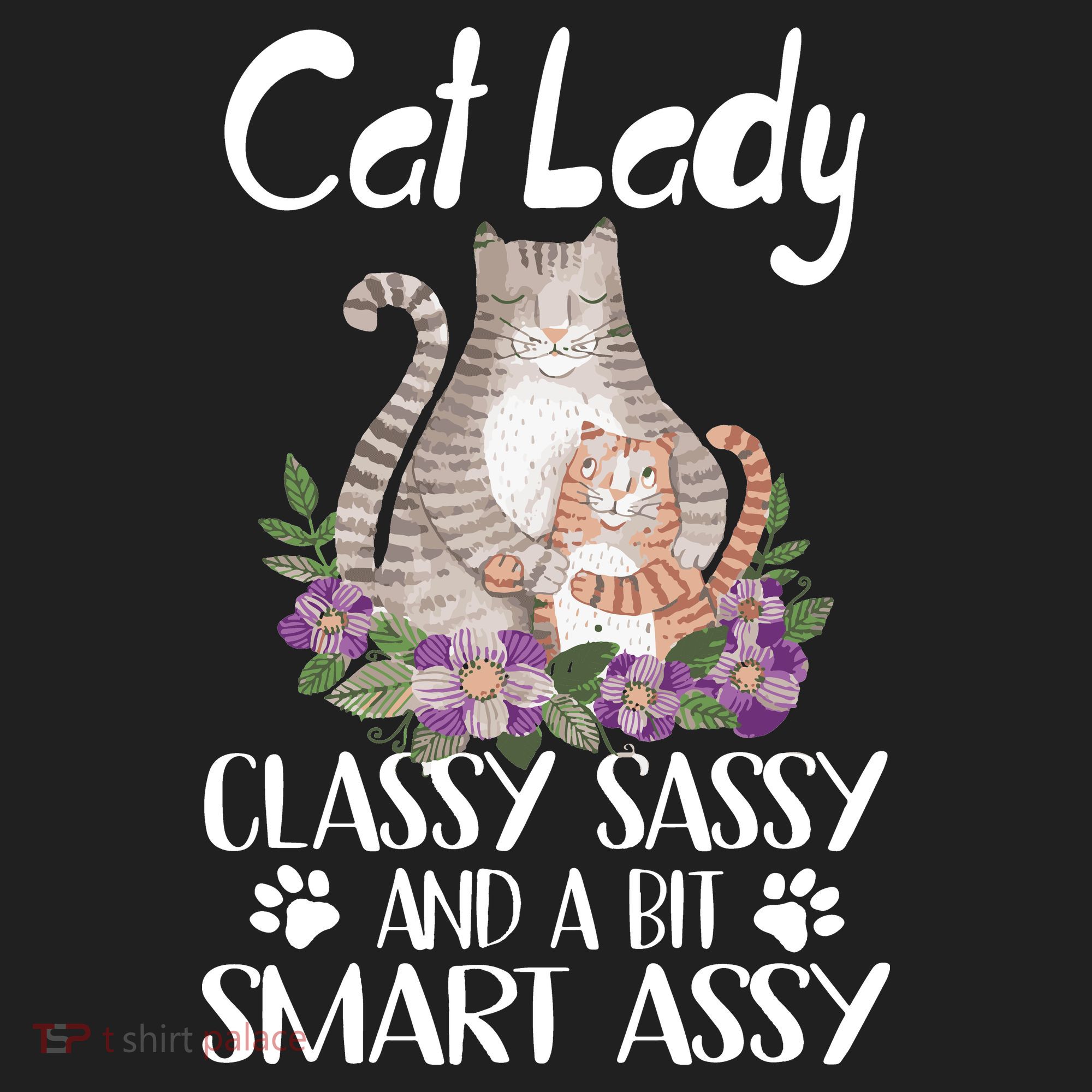 Cat Lady Classy Sassy And A Bit Smart Assy Cute Beanie