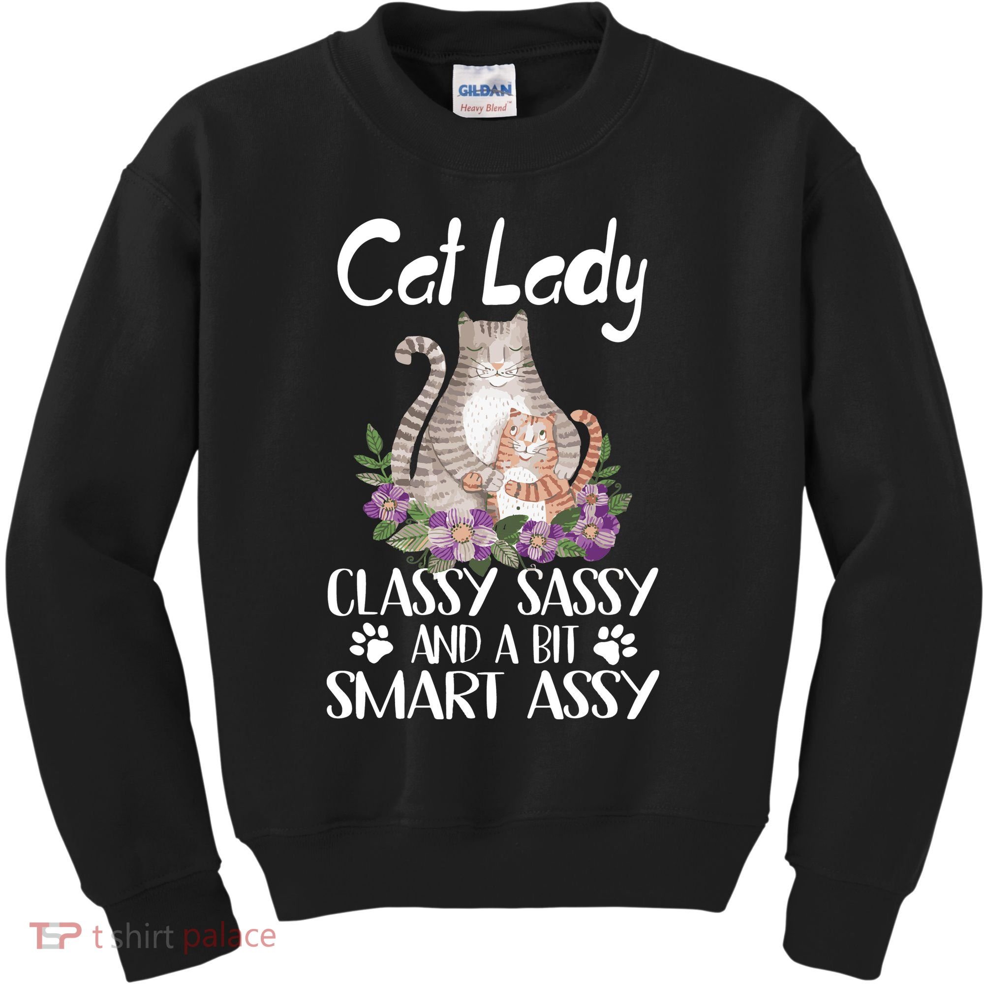 Cat Lady Classy Sassy And A Bit Smart Assy Cute Kids Sweatshirt