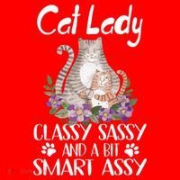 Cat Lady Classy Sassy And A Bit Smart Assy Cute Santa Hat thumb 1