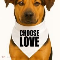 Choose Love USA-Made Doggie Bandana thumb 1