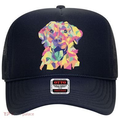 Colorful Labrador Dog Hat