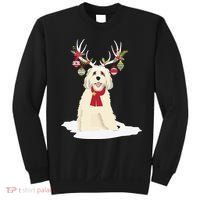 Cute Labradoodle Doodle Christmas Reindeer Graphic Holiday Sweatshirt thumb 0