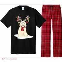 Cute Labradoodle Doodle Christmas Reindeer Graphic Holiday Pajama Set thumb 0