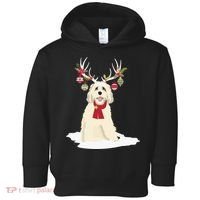 Cute Labradoodle Doodle Christmas Reindeer Graphic Holiday Toddler Hoodie thumb 0