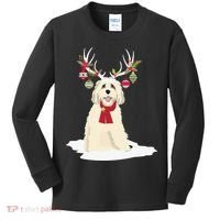Cute Labradoodle Doodle Christmas Reindeer Graphic Holiday Kids Long Sleeve Shirt thumb 0