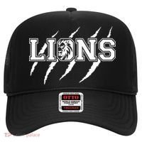 Cool Lions Detroit Football Michigan Hat thumb 0