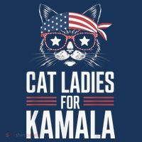 Cat Ladies For Kamala Funny Cat 2024 President Kamalaharris Women's Hoodie thumb 2