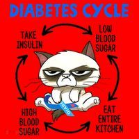 Cat Lover Funny Diabetes Cycle Awareness Santa Hat thumb 1