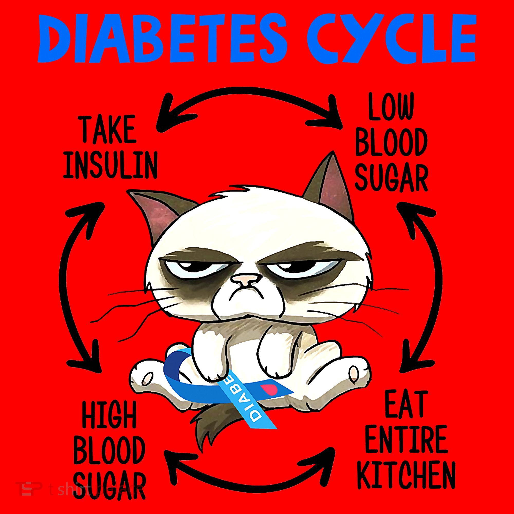Cat Lover Funny Diabetes Cycle Awareness Santa Hat