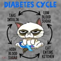 Cat Lover Funny Diabetes Cycle Awareness Toddler Hoodie thumb 2