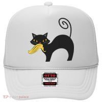 Cat Ladies For Kamala Harris Anti Trump Feminist Hat thumb 0