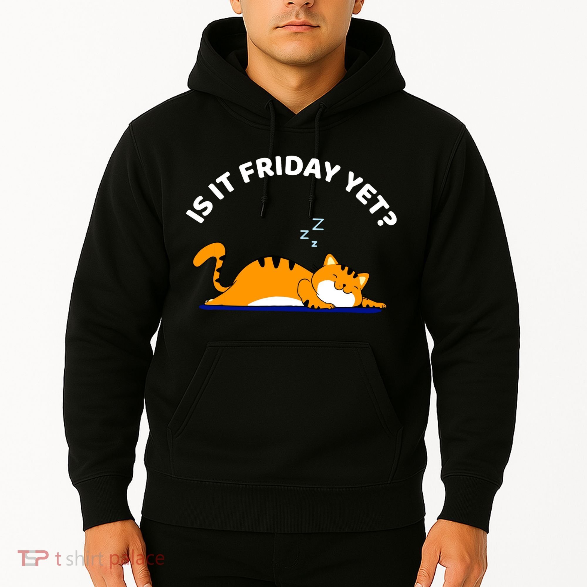 Cat Lover Funny Sleepy Cat Is It Friday Yet Cat Nap Hoodie