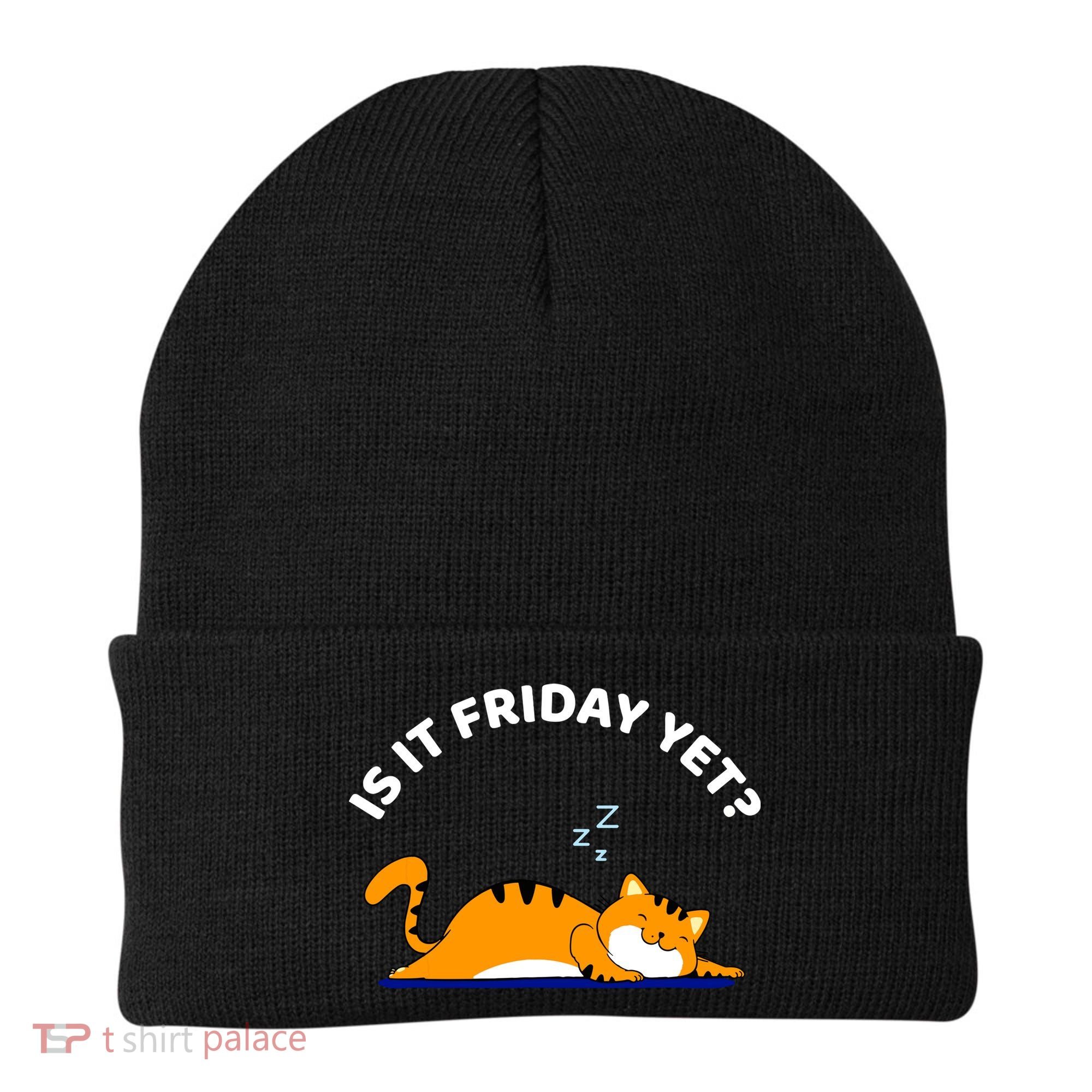Cat Lover Funny Sleepy Cat Is It Friday Yet Cat Nap Beanie