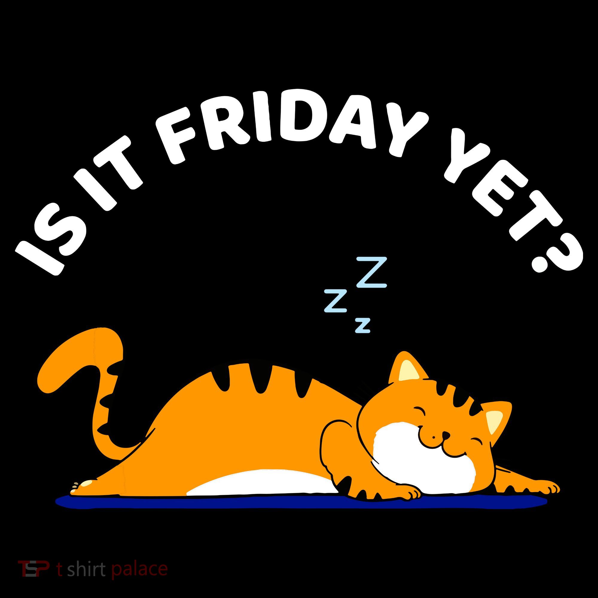 Cat Lover Funny Sleepy Cat Is It Friday Yet Cat Nap Women's Hoodie