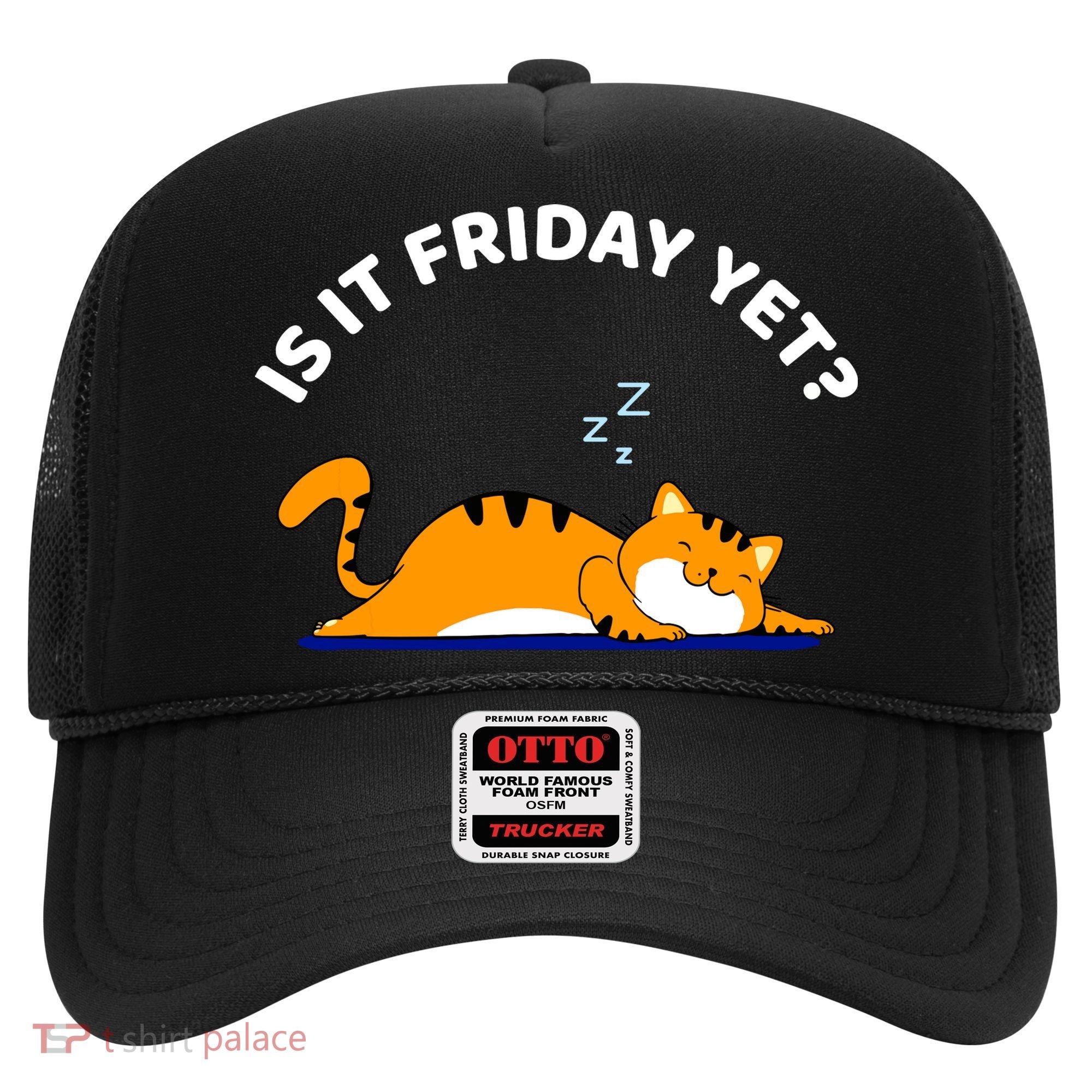 Cat Lover Funny Sleepy Cat Is It Friday Yet Cat Nap Hat