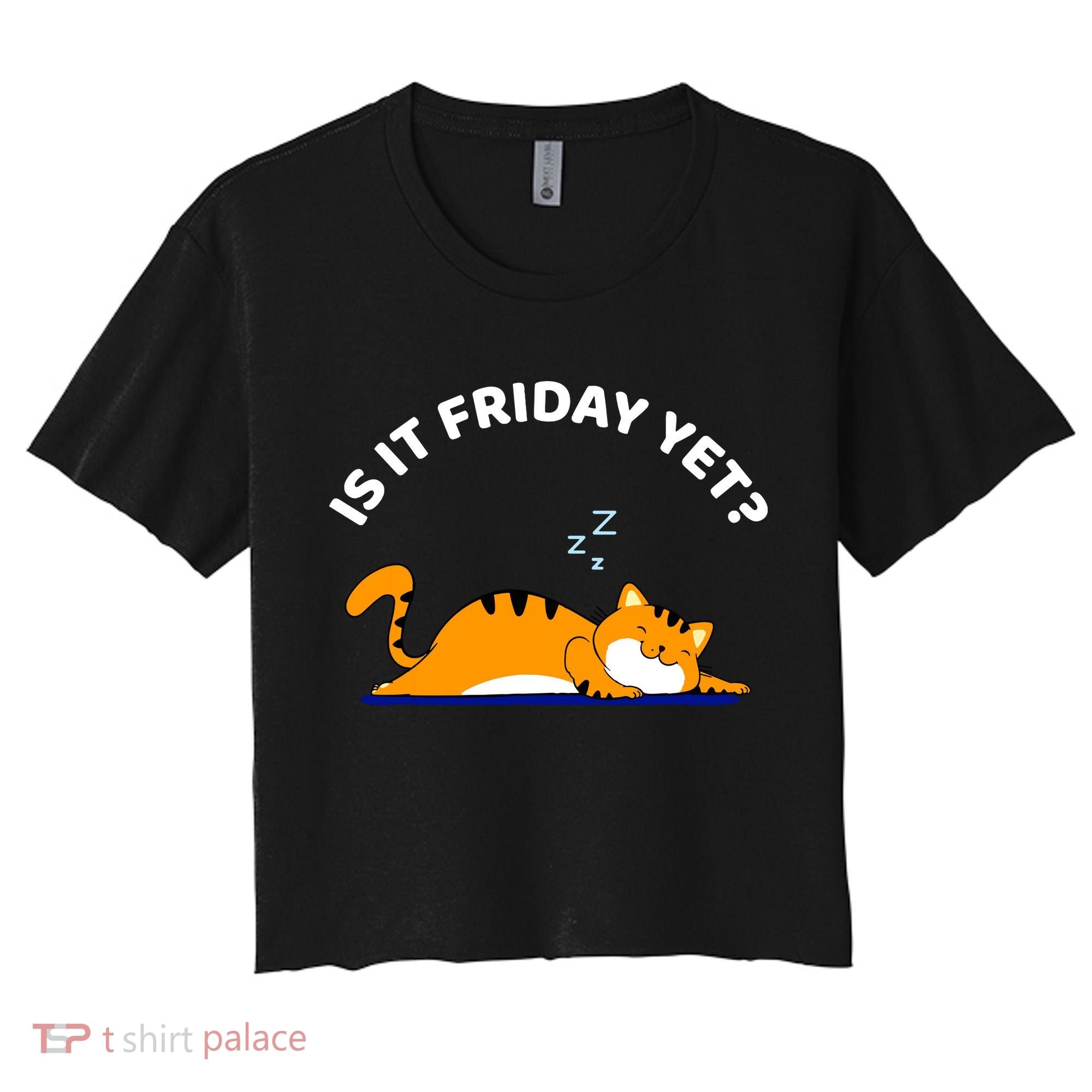 Cat Lover Funny Sleepy Cat Is It Friday Yet Cat Nap Women's Crop Top Tee